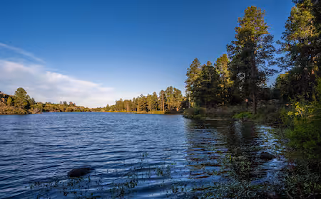 Show Low lake